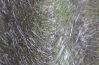 Totties fibreglass roof work